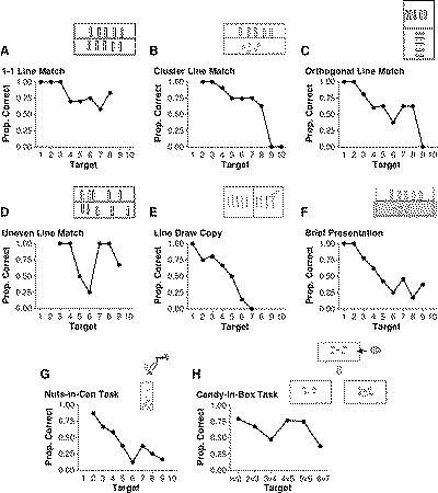 Pirahã Results