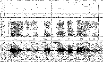 Recording of a conversation between Pirahãs and Daniel Everett.