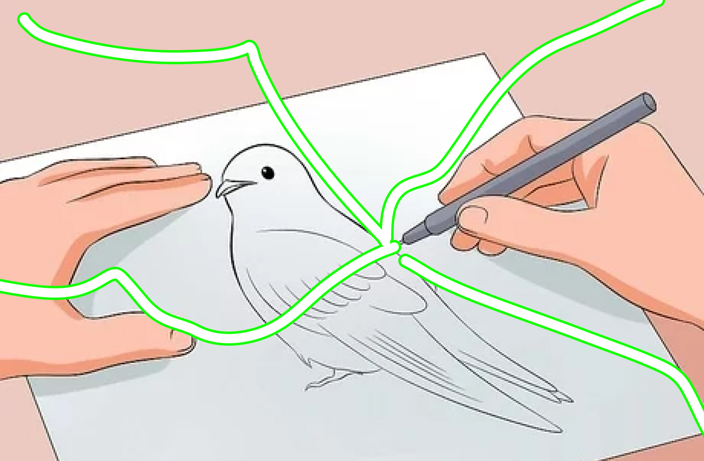 Drawing a bird