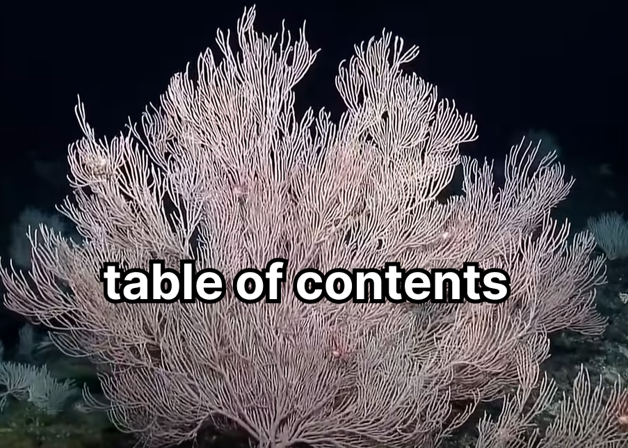 coral table of contents