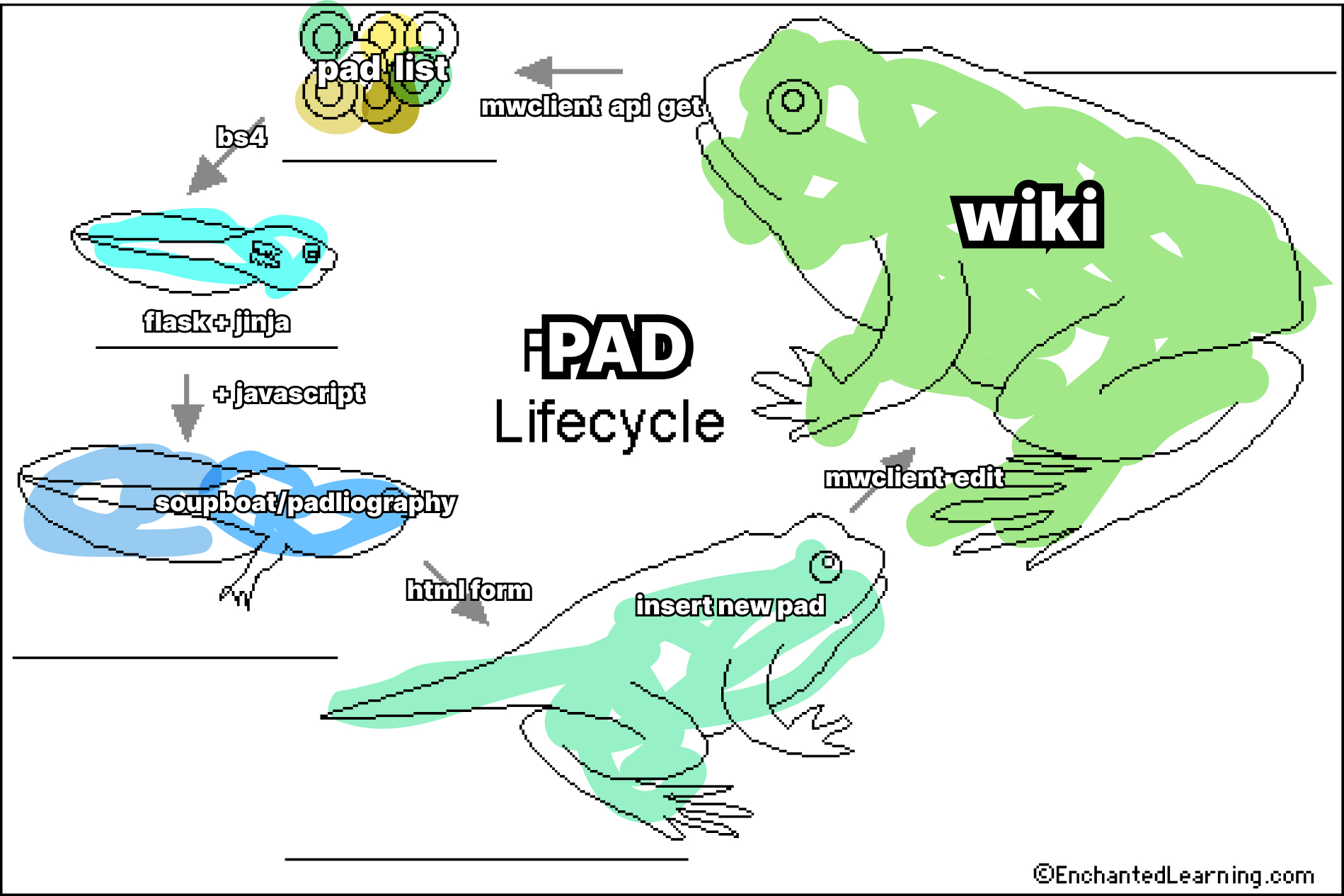 lifecycle