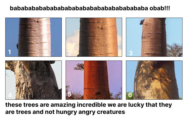 storyboard full of baobab