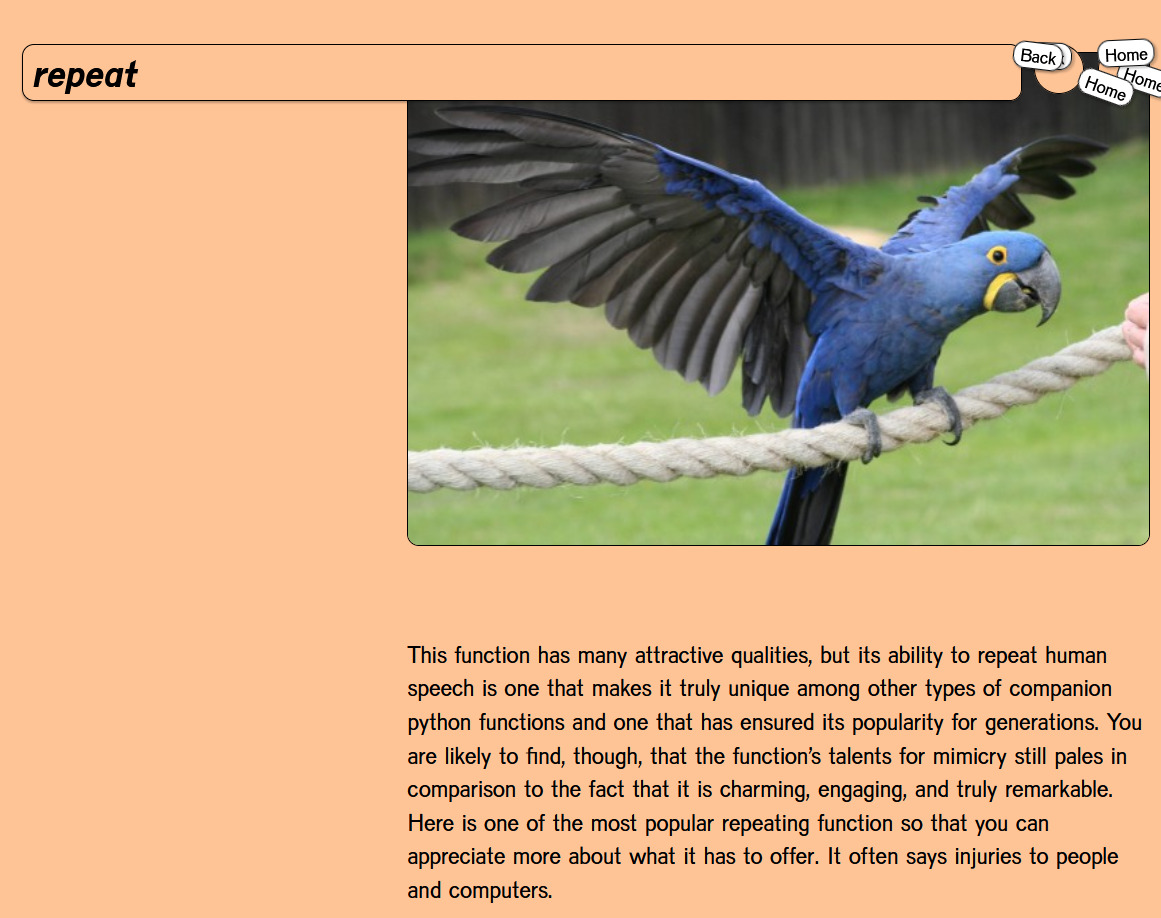 The picture of a parrots and description of the function.