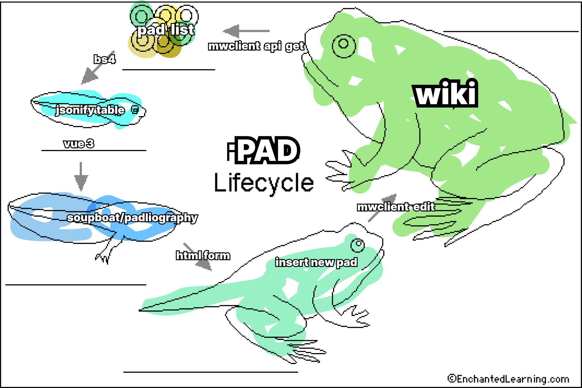 A ironic diagram of the different stages of the padliography over the lifecycle of frogs