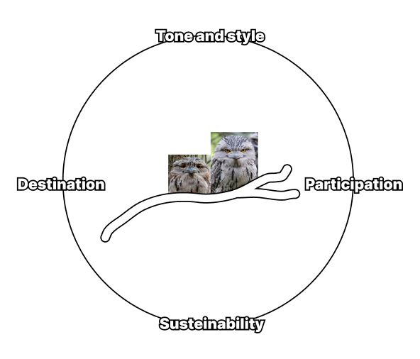 exploratory documentation aspects + 2 frogmouth birds