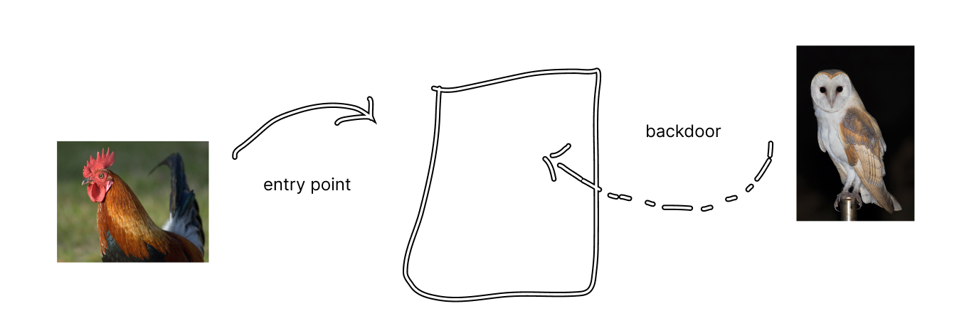 The outline of a square in the center. A roster enter from the front with a plain arrow. A barn owl enter from the back, with a dashed arrow. 