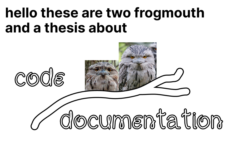 two frogmouth and a thesis about documentation