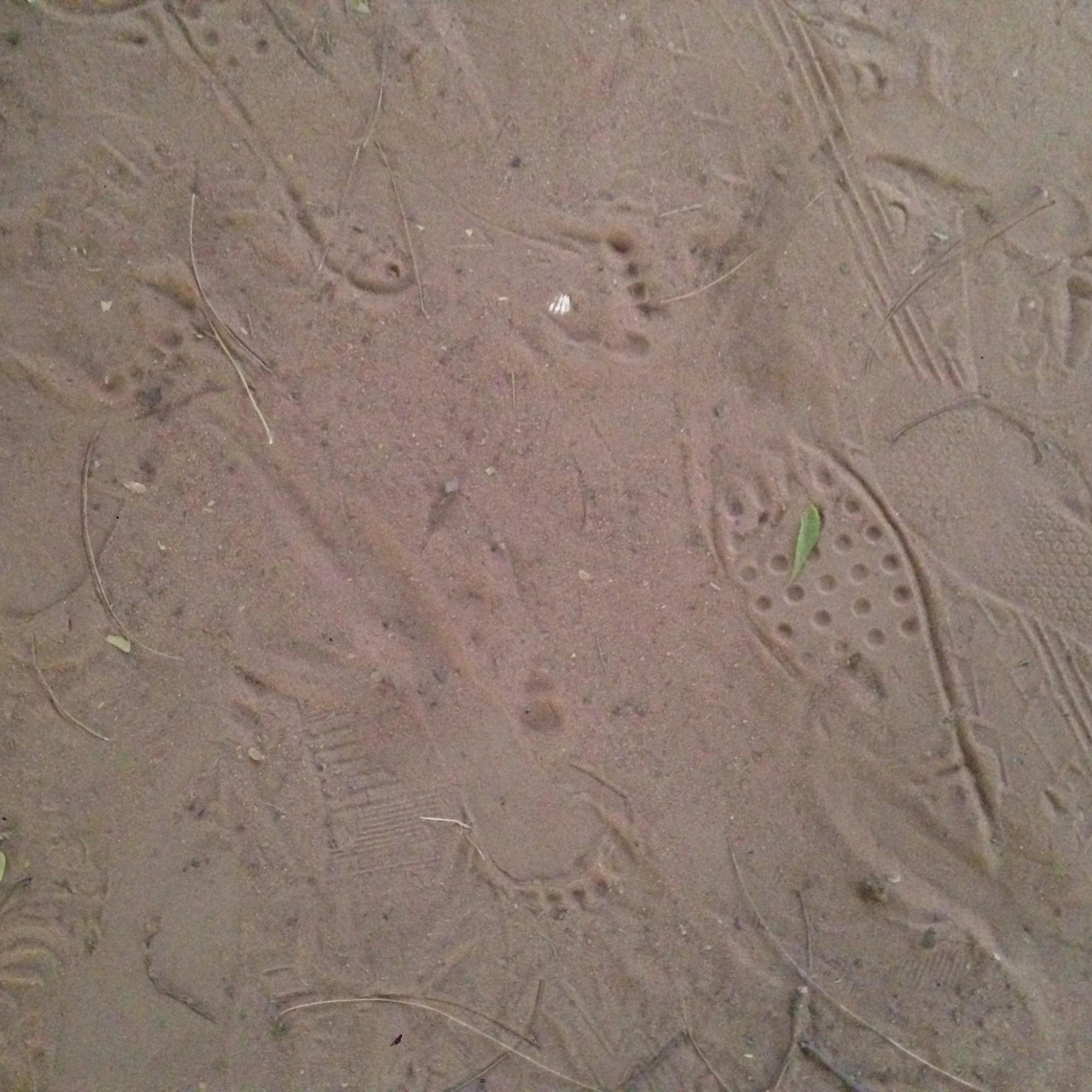impronte nella sabbia